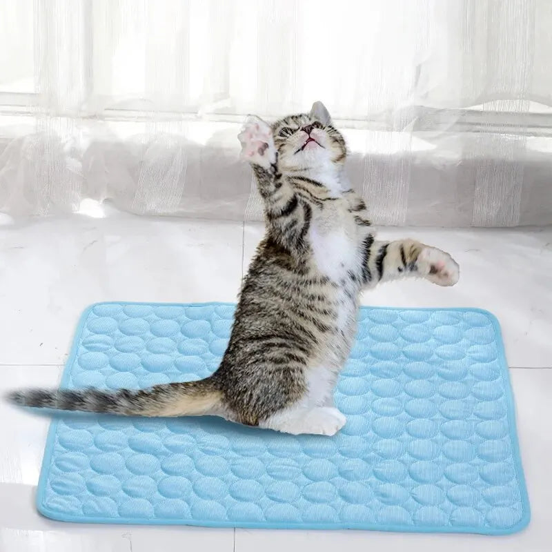 Tapis Rafraîchissant pour Chat – Confort Estival Chatmallow