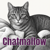 Chatmallow – Accueil